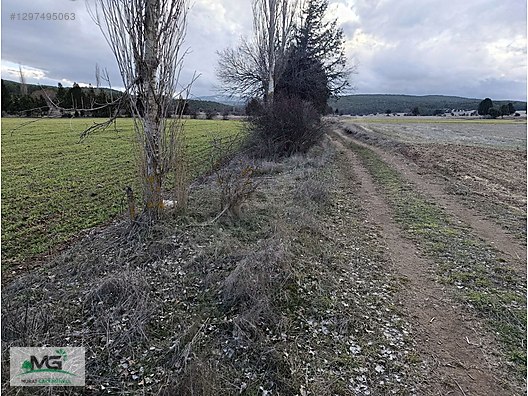 KÜTAHYA ALTINTAŞ PINARCIK FIRSAT ÜRÜNÜMÜZ TARLA BAHÇE BAĞ - KÜTAHYA ALTINTAŞ fotoğraf 3